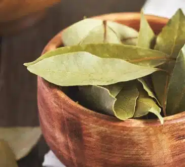 Tento čaj z bobkových listov robí zázraky pre kĺby